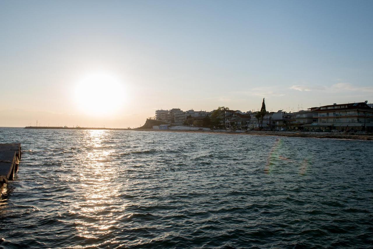 Dandy Villas Nea Kallikratia Sea View Loft - Open Up Roof - Down Town Nea Kallikrateia 外观 照片